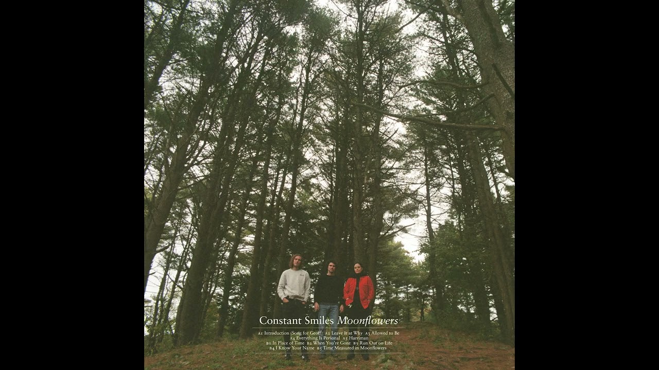 Constant Smiles - Leave It at Why