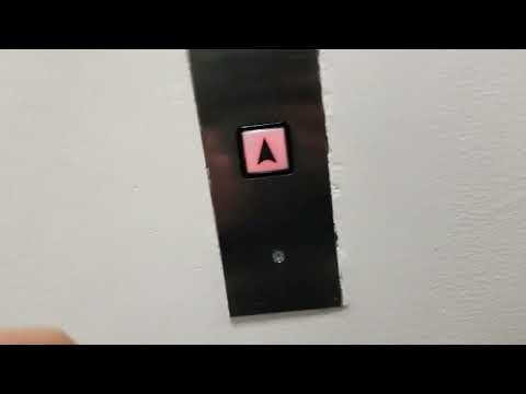 OG Take: 1956 Westinghouse Selectomatic Traction Elevators | Medical Dental Building | Seattle WA