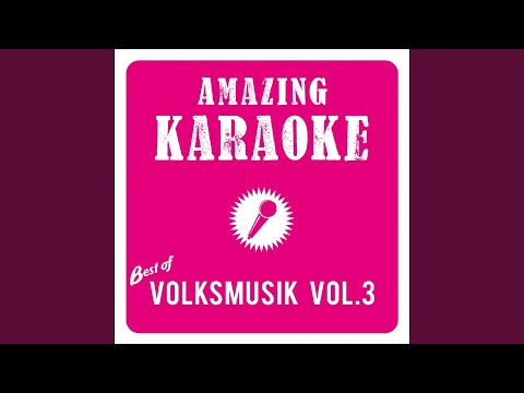 Am Strande der Donau (Karaoke Version) (Originally Performed By Bamberger Zwiebeltreter)