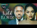 WILD FLOWER (CHINENYE ULEGBU & DEYEMI KOLAWOLE): LATEST NIGERIA MOVIE | AFRICAN MOVIE 2024