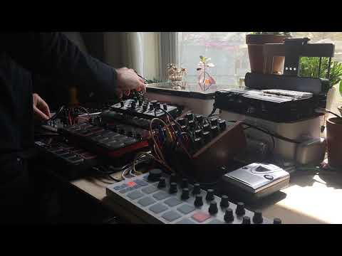 Live Modular x Sampler (8min) | Modal Skulpt x Volca x Tape Loops | Wall of Sound