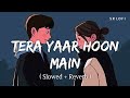 Tera Yaar Hoon Main (Slowed + Reverb) | Arijit Singh | Sonu Ke Titu Ki Sweety | SR Lofi