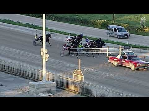 Aversa trotto 31 Ottobre 2020 - 5° Corsa