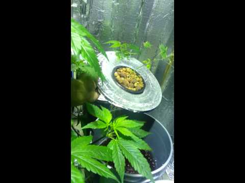 KALABRESE/CHEM#4 as of 12/24/13