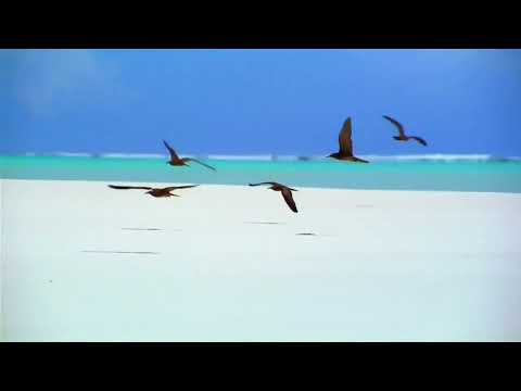 Roger Sanchez feat. Lisa Pure & Katherine Ellis - Lost