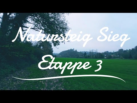 Natursteig Sieg | Etappe 03 | Blankenberg (Sieg) - Merten I MomentsOfHike | 2024