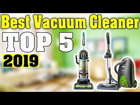 Top 5: best vacuum cleaner