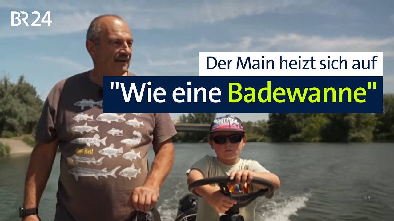 Angst vor Fischsterben: Wenn es im Main zu heiß wird | BR24