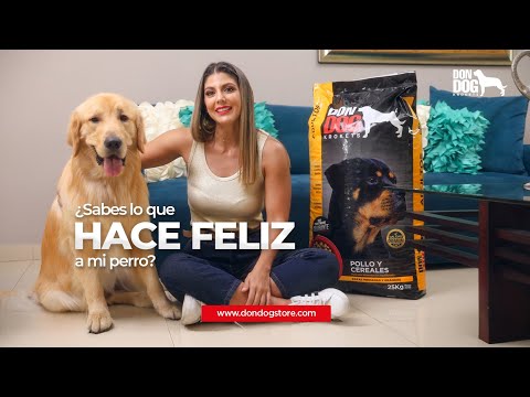 ¡Don Dog: La nutrición premium que tu perro merece! 🐾✨