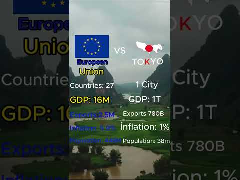 European Union VS Tokyo #countries #europe #fun #geography #history #map #mapping #shortvideo