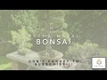 Kavita Bonsai Poem By Astha Naval Astha Ki Diary