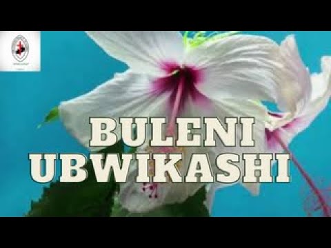 Bemba Hymns Part 16~  BULENI UBWIKASHI