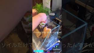 滝の流れるアクアリウム作成動画2