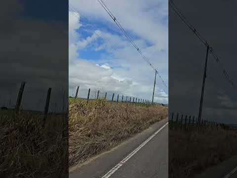 entre Campo Grande Alagoas e Girau do ponciano Quarta-feira 22 De julho 2026 ERIEL OFICIAL  🎥