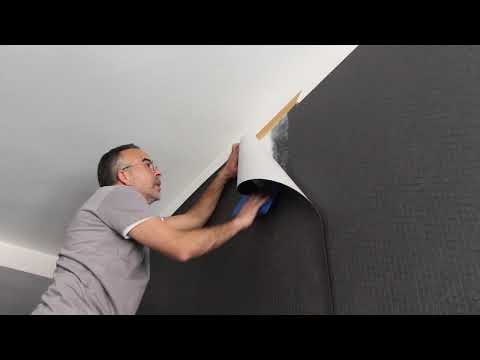 Seite 3 – Q-line Aufbewahrungsbox 12L metallfarbig schwarz (Video)