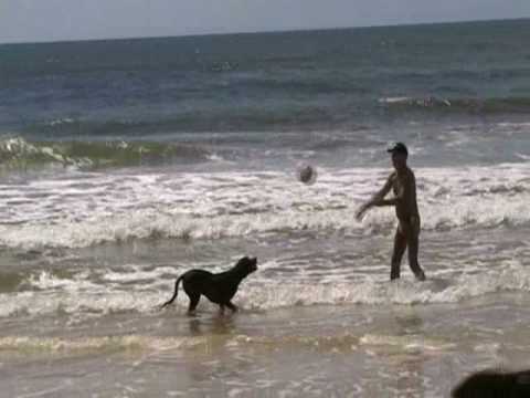 Otto Von-Smallhausen, Lab x Boxer