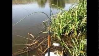 preview picture of video 'La pescuit pe balta la Prunaru'