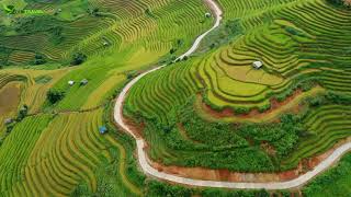 Amazing Rice Terraces in Mu Cang Chai, Yen Bai