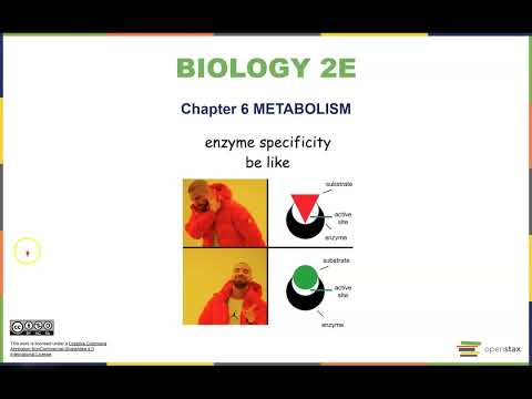 Chapter 6 Metabolism