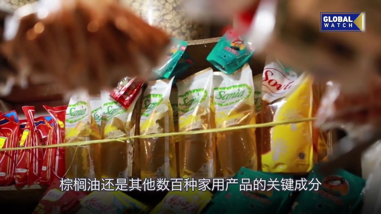 PALM OIL EXPORT BAN: Indonesia says it is prioritizing local needs