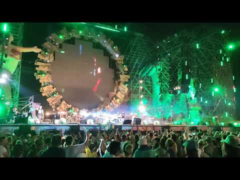 Jova Beach Party 2019 Viareggio - Animals