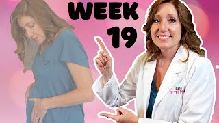 19 Week Ultrasound | Position of Baby at 19 Weeks Pregnant | What is Quickening.