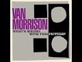 Van%20Morrison%20-%20What%20s%20Wrong%20With%20This%20Picture