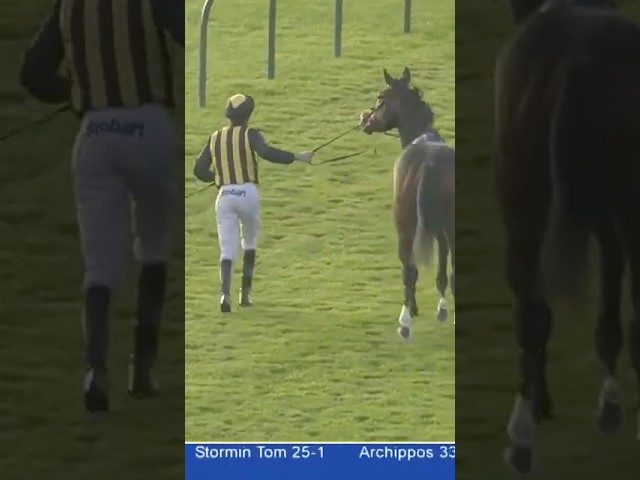 Thumbnail for Post ID: NAv2Z94calo