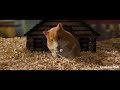 Hollywood Movie In Hindi Comedy Best Comedy Video Of Hollywood