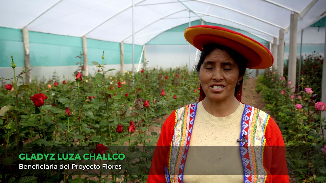 Productive flower management project in Cusco