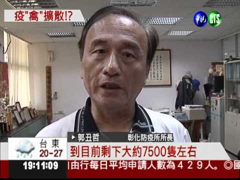 死亡率一夕暴增 竹塘雞隻死一半