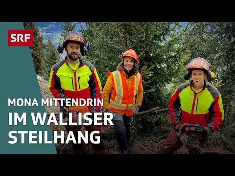 Forstwarte im Einsatz – Gefährliche Arbeit im steilen Schutzwald | Mona mittendrin 2021 | SRF Dok