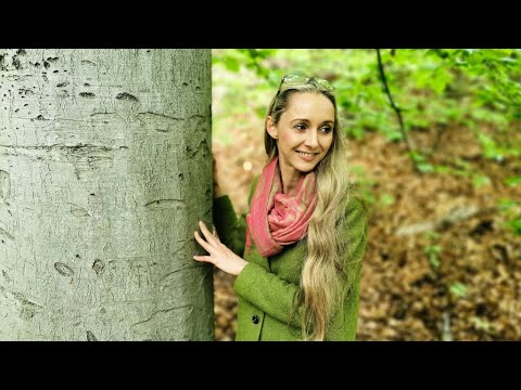 Bachblüte Nr. 3 BEECH (Rotbuche) "Intoleranz & Kritiksucht" / von Sandra Stopar