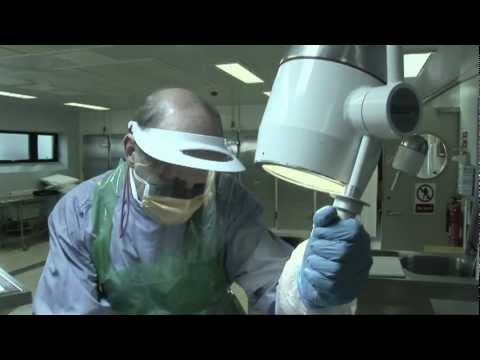 Post Mortem - Inside (60 seconds)