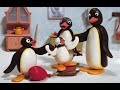Pingu Theme Song Tiny Tv Cartoon Network