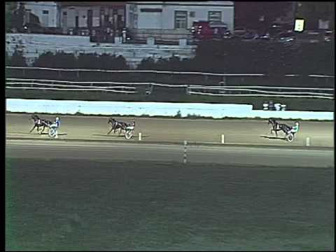 Trotto 03/09/2015 - 2° prova di qualifica