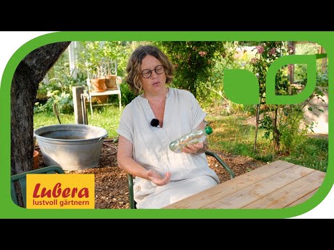 Vinegar against weeds: How vinegar works in the garden