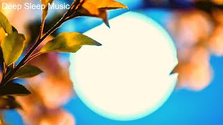 Relaxing Deep Sleep Music, Calming Music, Piano Music