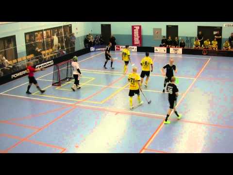 SBS Wirmo - LNM maalikooste 10.1.2015