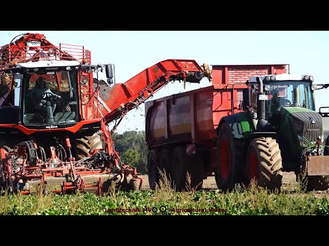 Grimme - JCB - Holmer - Fendt / Rübenernte und Verladung - Harvesting and Loading Sugar Beets  pt2