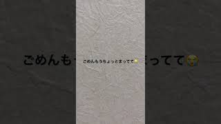 寝起きのヨウカちゃんから軽いお知らせです