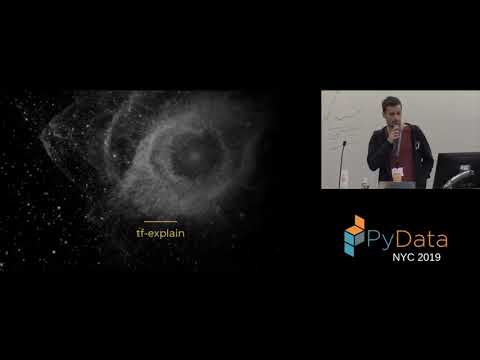 Raphaël Meudec: tf-explain: Interpretability for Tensorflow 2.0 | PyData New York 2019