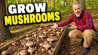 Build Mushroom Beds Once and Harvest for Years