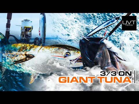 Giant Bluefin Tuna on the Jig, Stickbait, and The Chief!