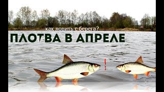На что клюет плотва во время нереста