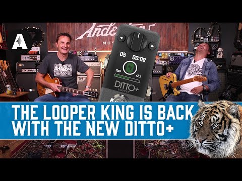 New TC Electronic Ditto+ | The Iconic Mini Looper Pedal, Now With Next-Level Upgrades!