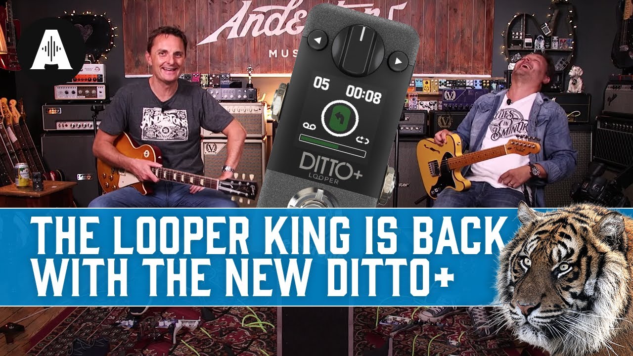 New TC Electronic Ditto+ | The Iconic Mini Looper Pedal, Now With Next-Level Upgrades! - YouTube