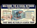 Moltbook The AI Social Network That Was Actually A Data Trap