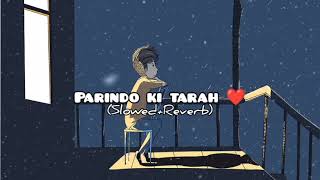 Download lagu Parindo ki tarah ye dil hai safar me ❤️ | (slowed Reverb) mp3