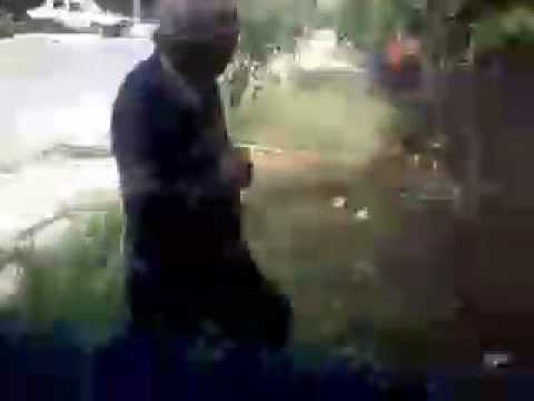 Droftei de seaca de padure